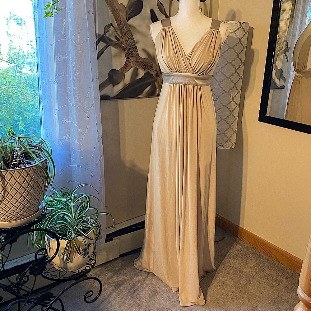 {David’s Bridal} Champagne Dress